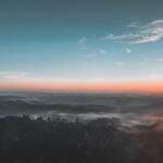 Artículo para la revista Conectarte