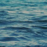 El mar austral como inspiración para crear