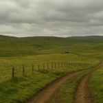 III. Darwin-Goose Green